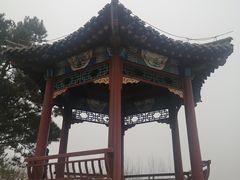 -大兴滨河森林公园