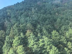 -苍山感通索道