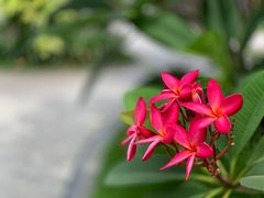 -厦门日月谷温泉渡假村