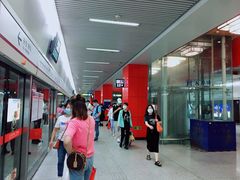 -望京西(地铁站)