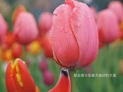 -成都市文化公园