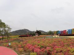 -西海岸生态观光园