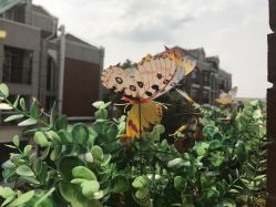 -新蝶变皮肤管理中心