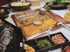 -新辣道鱼火锅(领展购物广场·中关村店)
