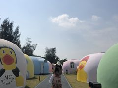 -漳州滨海火山岛自然生态风景区