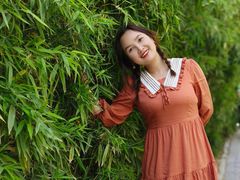 -茯茶镇