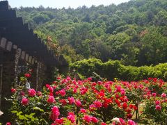 -龙寺生态园