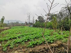-驿舍·民國老营房院子私房菜(科学会堂店)