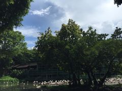 -新加坡飞禽公园