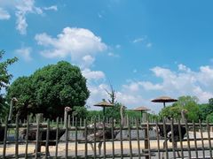 -常州淹城野生动物世界