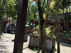 -土砂锅生态山庄·非遗砂锅雅鱼