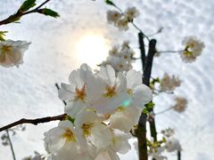 -同里国家湿地公园