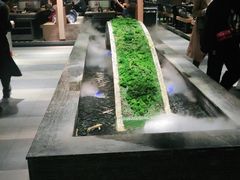 -湊湊火锅·茶憩(石家庄万象城店)