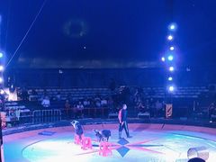 -环球城国际大马戏