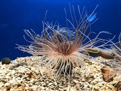 -洛阳龙门海洋馆