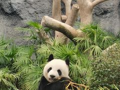 -石排湾郊野公园