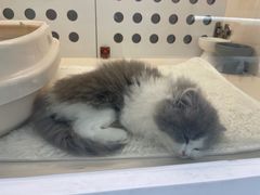 -comecome来吧宠物(奥克斯中心店)