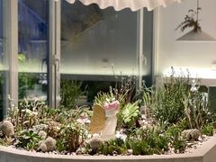 -春树下·树屋花房西餐厅(罍街AS1980店)