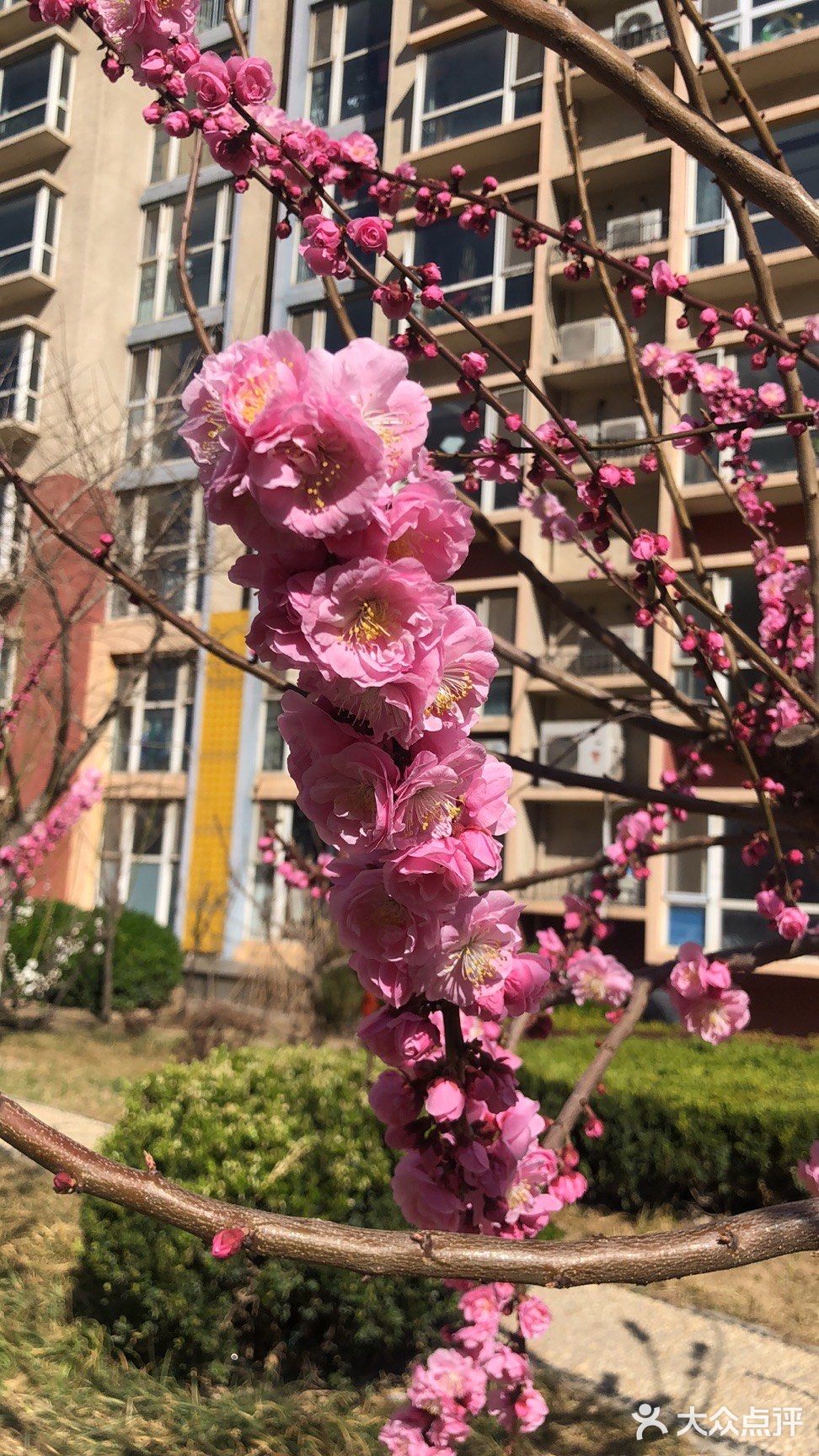 好想去公园看看花看看草