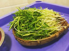 -大龙老火锅·总店(龙头寺店)