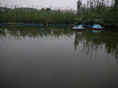 -田园东方蜜桃村的田野营地
