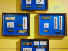 -上海昆虫博物馆