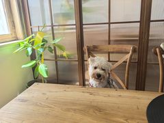 -沏点Trattoria意大利餐厅(新街口店)
