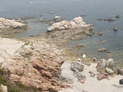 -养马岛旅游度假区
