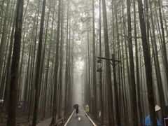 -山王坪喀斯特国家生态公园