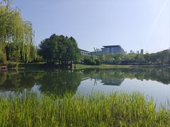 -尚贤河湿地
