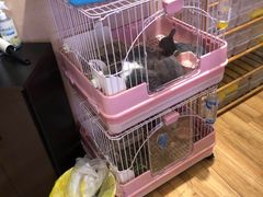 -藦茜花园宠物主题亲子互动体验馆(国顺东路店)