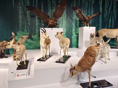 -中国湿地博物馆