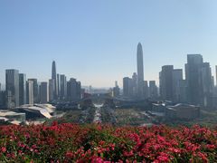 -莲花山公园