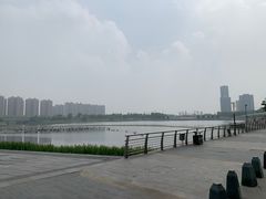 -映月湖中央公园