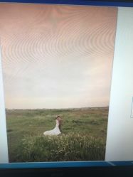 -费拉摄影(天廊T66店)