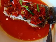 翘嘴鱼-江南荣庄