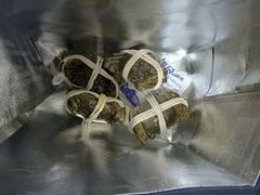 -阳澄湖大闸蟹·琼灵阁牌品牌连锁(吴中总店)