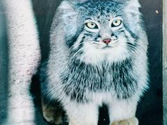 -青藏高原野生动物园