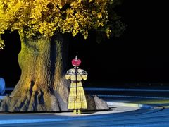 -鼎盛王朝康熙大典实景演出
