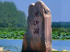 -微山湖红荷湿地景区