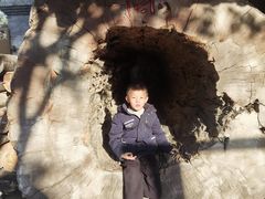 -宁波溪口古镇-民国大杂院