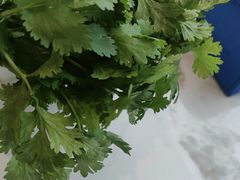 -蒙都43°9羊火锅(平庄店)