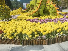 -南山植物园