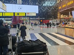 -谢列梅捷沃国际机场