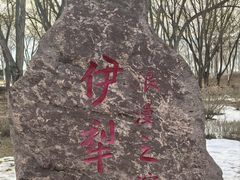 -伊犁河景区
