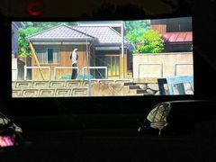 -枫花园汽车电影院(朝阳公园店)