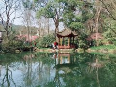 -杭州植物园