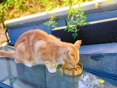 -UNIUNI(凯瑟琳广场店)