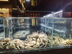 水产区-天然台1908(中建广场店)