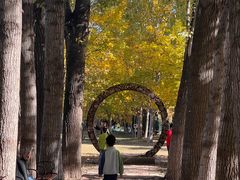 -回龙观体育文化公园